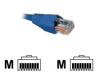 Nexxt patch cable – 50 ft – blue
